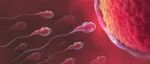 不孕不育研究新突破！精液、肠道菌群失调与男性不育有关