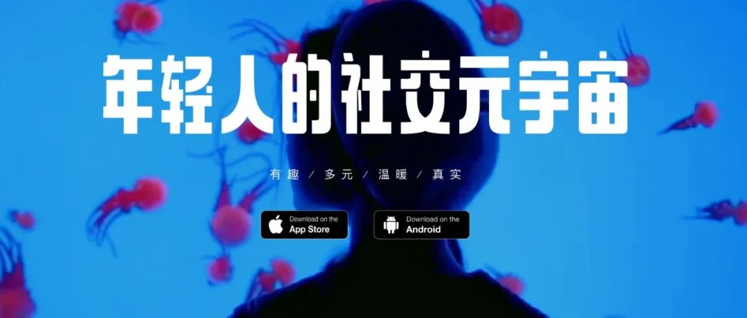 又有两家张江企业冲刺IPO！芯导科技科创板获问询、Soul拟纳斯达克上市