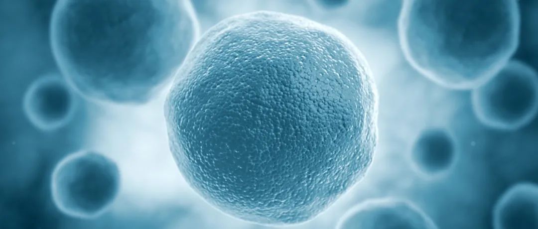 Science首次发现！细胞竟然也有“洁癖”，能自产“洗涤剂”，让细菌无处遁逃