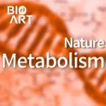 Nat Metab | 翟琦巍研究组揭示节食后体脂反弹和肥胖的机制及其营养干预策略