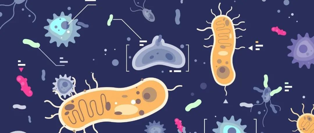 自主研发超1500种MMT疗法，且看Kaleido如何玩转微生物组？