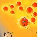 研究揭示CD4+ T细胞中新的DNA感知通路及其介导衰老相关自身免疫病的调控机制