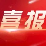 高新区荣获“永远跟党走·万人同唱一首歌”快闪活动一等奖