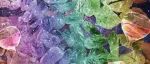 100多位作者联手！谷歌用量子计算机造出「时间晶体」，挑战热力学第二定律