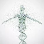 AJHG | 超40万外显子组序列分析揭示罕见蛋白质编码变异与355种血液代谢物水平的关联