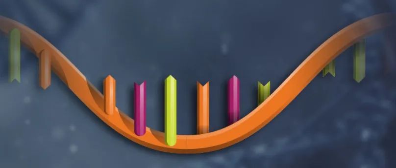 口服PCSK9抑制剂，有戏了？阿斯利康发布PCSK9反义疗法最新研究成果 | Science子刊