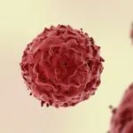 Cell：利用癌症谱系追踪揭示肿瘤进化的谱系动态变化、可塑性和路径