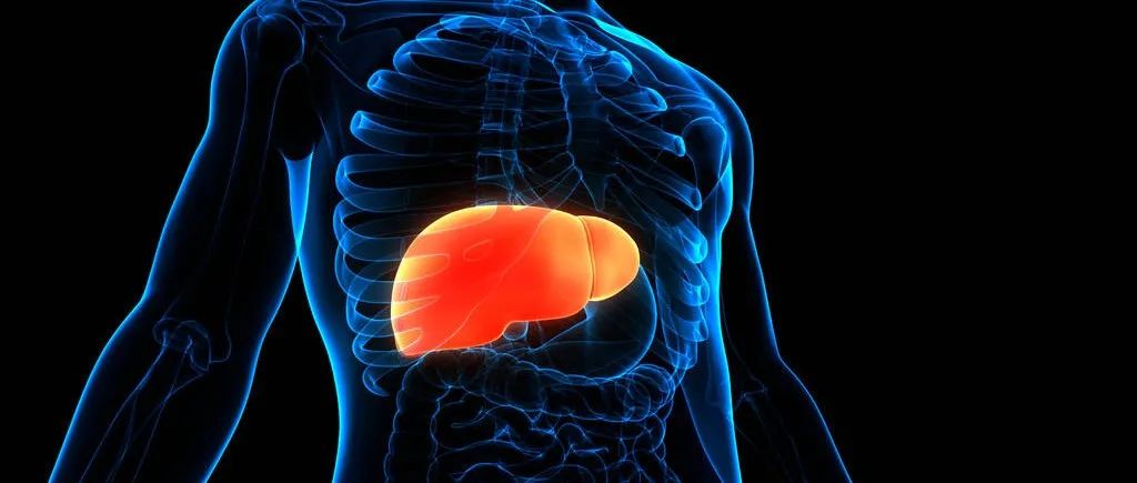 免疫治疗在原发性肝癌中的研究进展