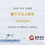 融资|病毒载体基因治疗CDMO引领者五加和基因完成A轮融资，凯乘资本担任独家财务顾问