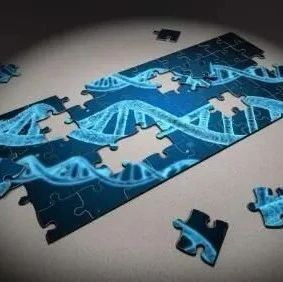 Nature重磅！科学家绘制出迄今为止最全面的人类基因组中非编码DNA图谱 揭示了3万个人类疾病区域的特殊回路！
