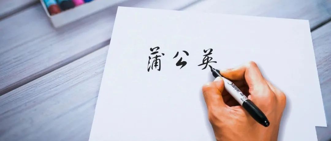 WHO通过数据完整性、制药用水GMP等6个指南