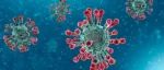 康奈尔大学和UBC的研究团队发现能抗击所有病毒变体的物质，或将成为对抗新冠的最新方案！