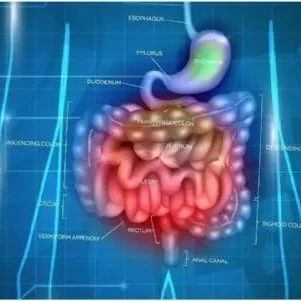 Cell Host Microbe：研究发现克罗恩病相关细菌的致命弱点