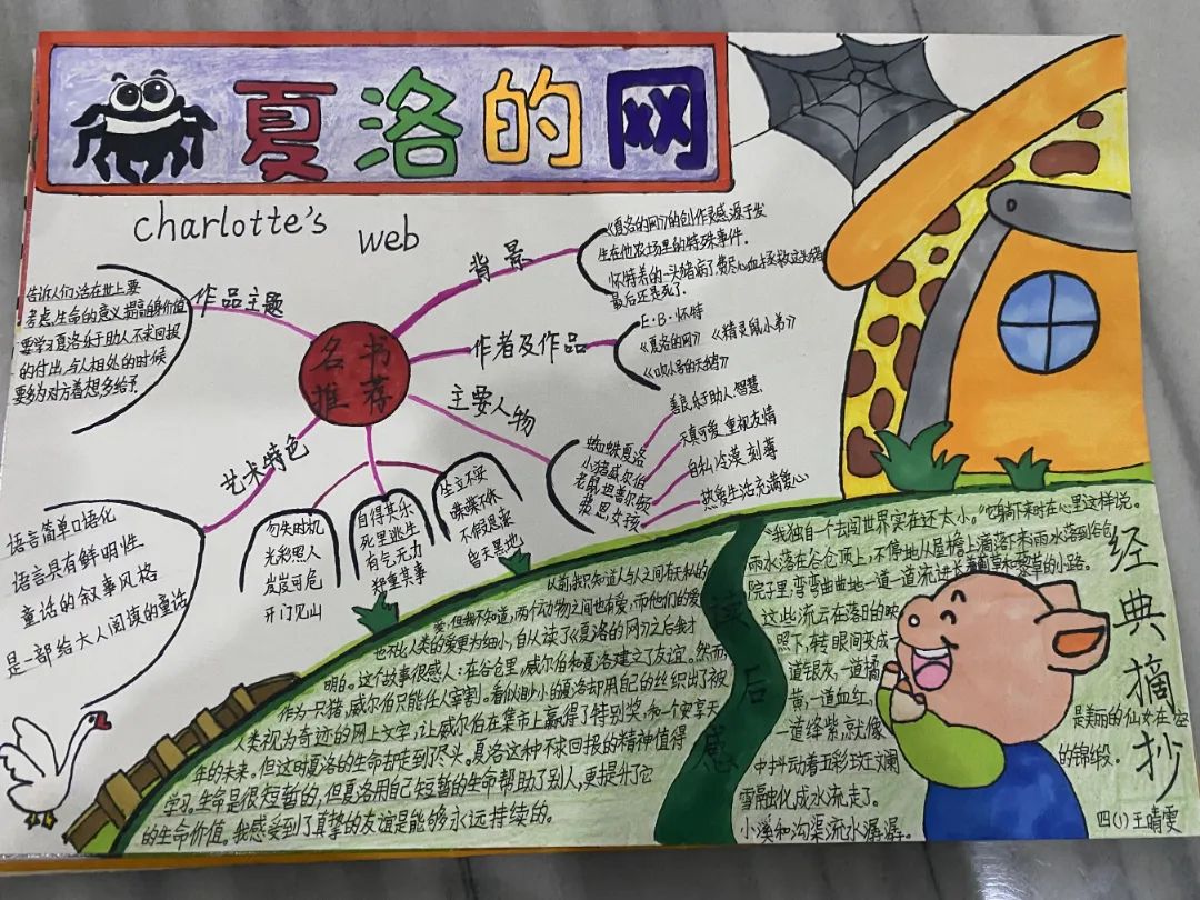 王晴雯.jpeg