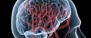 Alzheimers Dementia：美国6000万人数据研究发现，痴呆患者的新冠风险大大增加