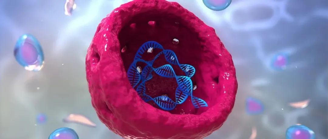 干细胞治疗Ⅰ型糖尿病进入临床阶段，为子寻医成就Semma Therapeutics