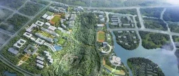 大院大所合作在苏州丨引进先进教育资源 布局未来创新版图