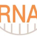 新锐！达冕生物完成1000万美元种子轮融资，专注mRNA药物和疫苗研发