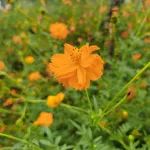 【甘肃】拟注销24家《药品生产许可证》