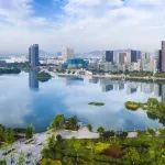 开展植树造林  共建美好家园