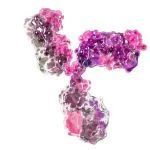 Hummingbird Bioscience完成1.25亿美元C轮融资