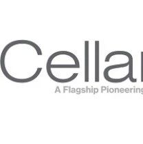 Cellarity获1.23亿美元B轮融资,从细胞水平开发创新药