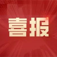 他们又双叒叕获奖了！