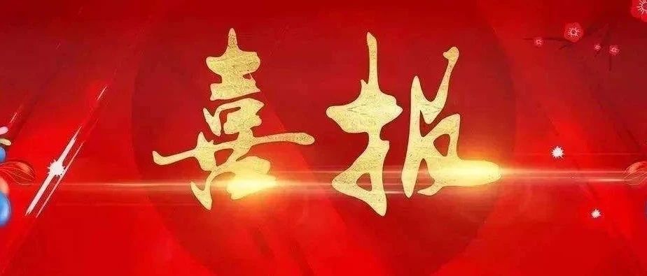 喜讯！长宁多个项目、集体和个人在上海市获奖！
