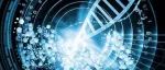 耶鲁研究团队从12.5万余名新冠感染者中发现了哪些新易感基因？