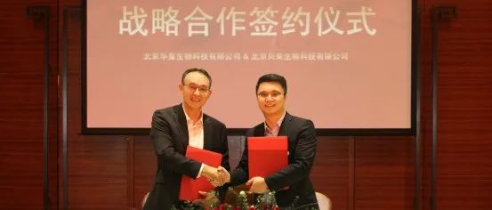 重磅！华龛生物与贝来生物达成战略合作，共建基于3D微载体技术的干细胞转化应用平台