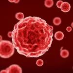 CD19 CAR-T细胞疗法！百时美施贵宝Breyanzi(liso-cel)在欧盟获批：治疗大B细胞淋巴瘤(LBCL)！