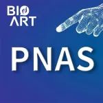 ​PNAS | 李哲博士等揭示EB病毒小RNA调节病毒生长转化