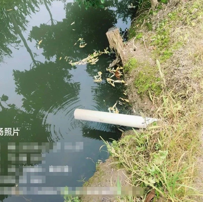 企业违法排污，崇明生态环境局8小时快速办结！