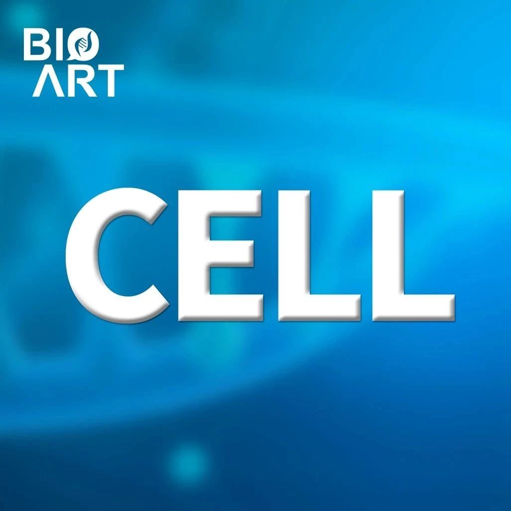 Cell | 突破IL-12治疗瓶颈，独特结构带来肿瘤免疫治疗新策略