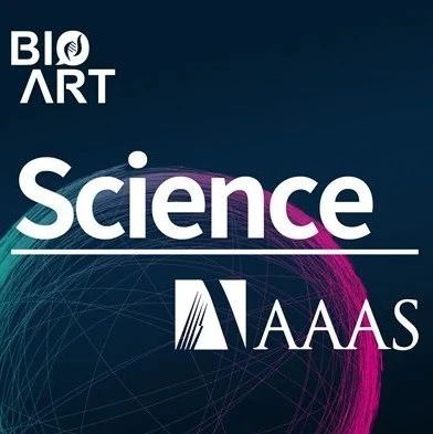 Science突破!丨 14种Cre谱系追踪揭示肝脏再生的细胞来源