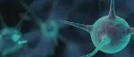【快讯】国产第六款！誉衡生物抗PD-1抗体赛帕利单抗获批上市