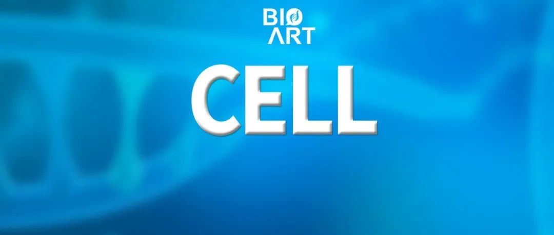 Cell突破 | 朱永群/张兴合作揭示细菌鞭毛马达结构、组装与扭矩传输机制