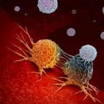 Cell：我国研究人员发现一种植物免疫性蛋白，或有望治愈癌症！