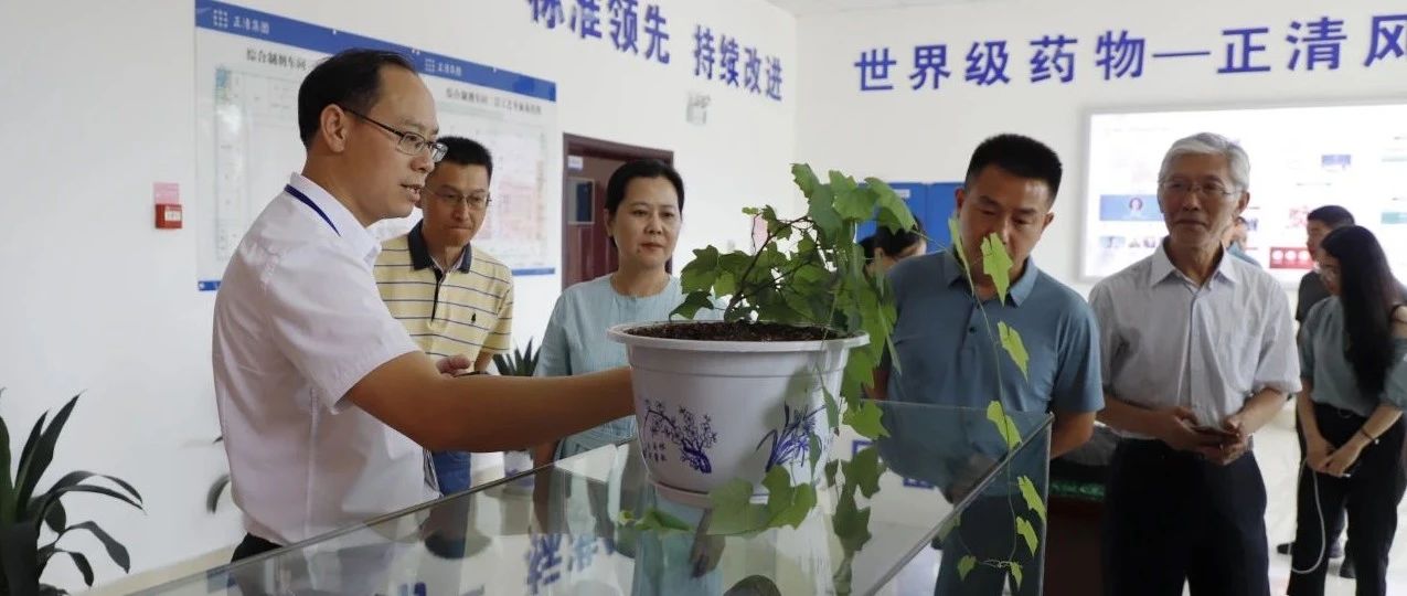 省发改委服务业处副处长唐珣丽莅临正清考察调研