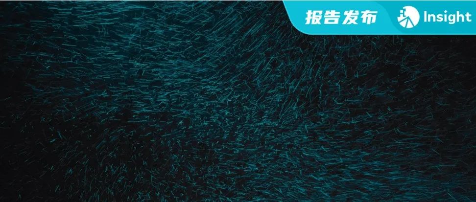 《全球肥胖症药物竞争格局分析报告》——引爆百亿市场，减肥市场下一热点