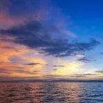 寻找“红海”中的“蓝海” | 小分子新药研发的凤凰涅槃