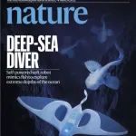 登上Nature封面！浙大研发的这条“鱼”厉害了……