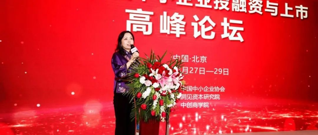 中国中小企业协会专职副会长马彬出席首届中国中小企业投融资与上市高峰论坛！