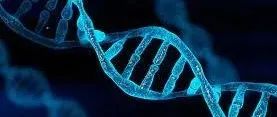 Science：迄今最大规模的全基因组测序数据发现58种导致癌症的新突变