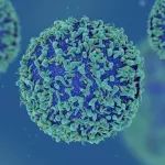 生物分析专栏 | 疫苗的研发及临床免疫原性分析