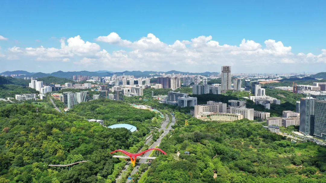 科学城3 李剑锋.jpg