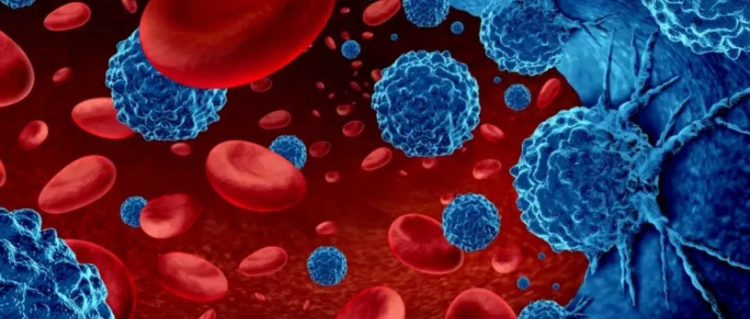 BioNews | Curis：公布CA-4948治疗血液恶性肿瘤的1/2期临床研究数据更新