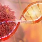 Cancer Research发文揭示全基因组倍增是人类肿瘤非整倍体变异的主要决定因素