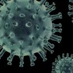 滨会生物：首款溶瘤病毒候选药物获FDA临床批准