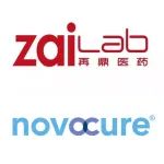 速递 | 一线治疗胃癌，肿瘤电场组合疗法达到2期临床主要终点